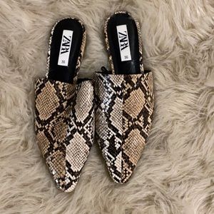 Zara Snake Skin Mule